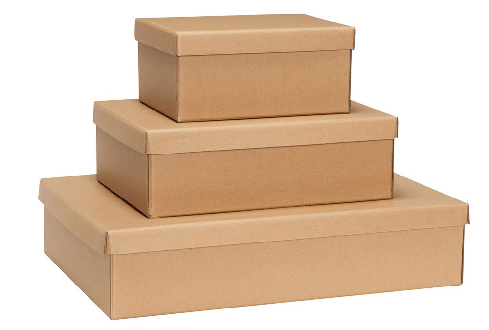 Ce tipuri de carton există și când se folosesc?